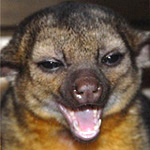 <b><c>xivilai</c></b><br><br>





